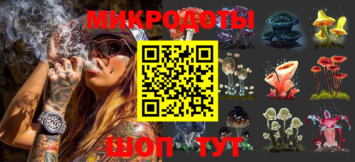 Псилоцибиновые грибы Psilocybine cubensis Клин